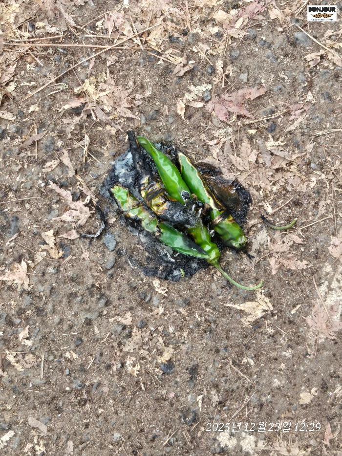 불태워서 없애버리는 금줄, 보관하거나 그냥 버리면 안된다.