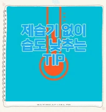 제습기 없이 습기 제거 끝 숯 염화칼슘 등 천연 제습제 활용법 완벽 가이드_25