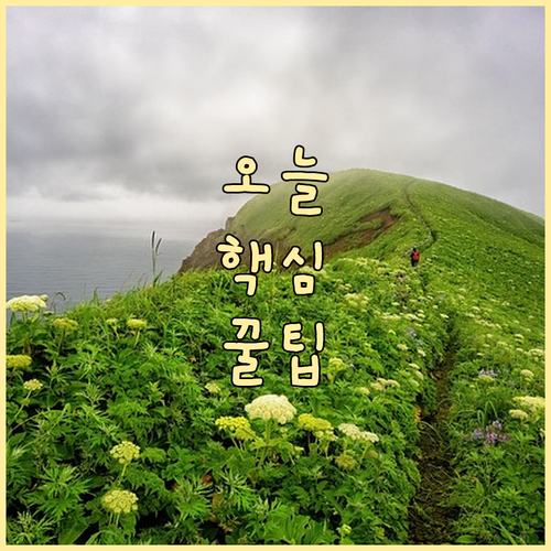 아이스팩은 일반쓰레기? 대신동 재활용..