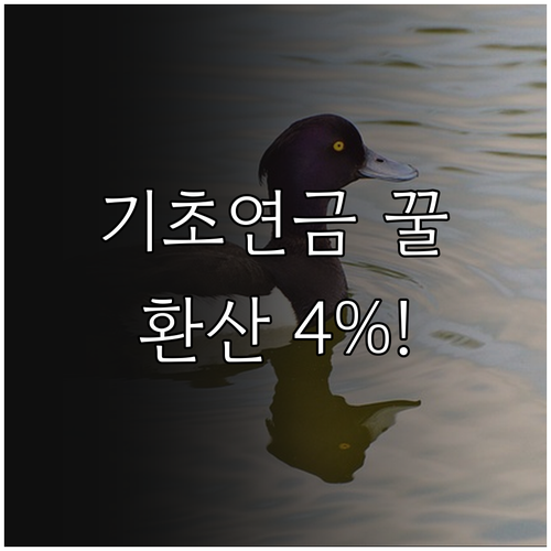 기초연금 금융재산 계산법 2천만 원 ..