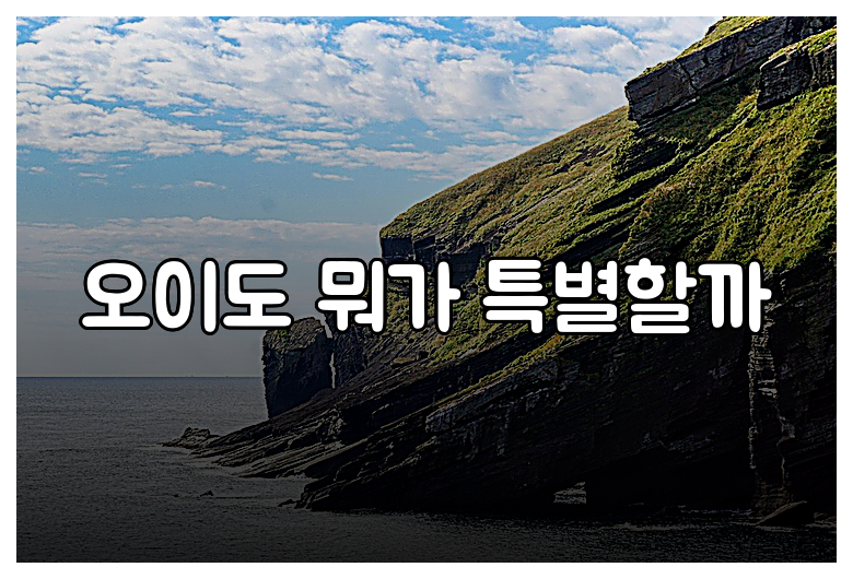 오이도 뭐가 특별할까