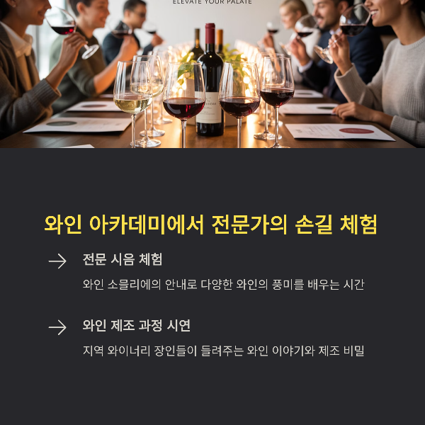 와인 아카데미에서 전문가의 손길 체험