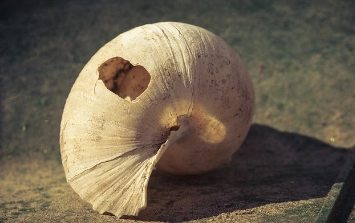 청년 이사비 지원금 신청방법 신청하기 제주