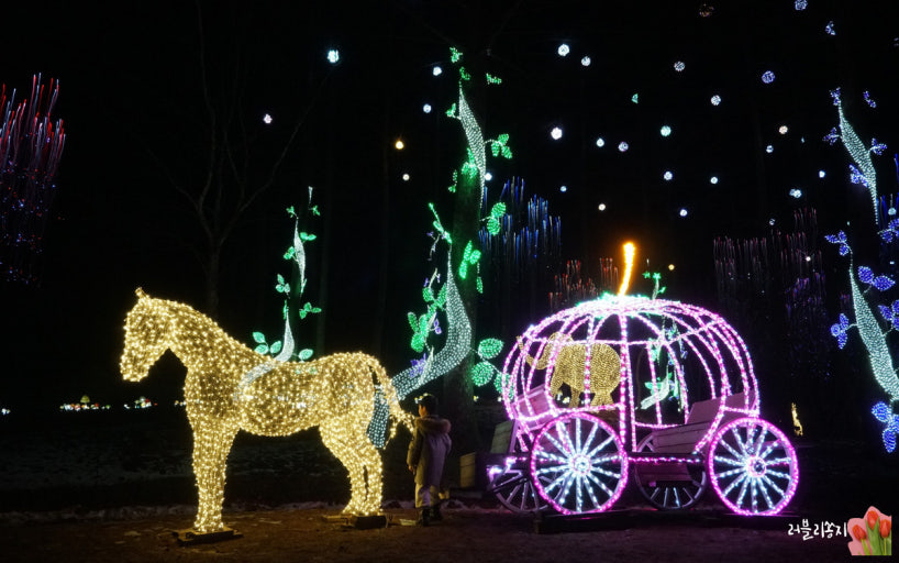 2025 전국 겨울 빛축제