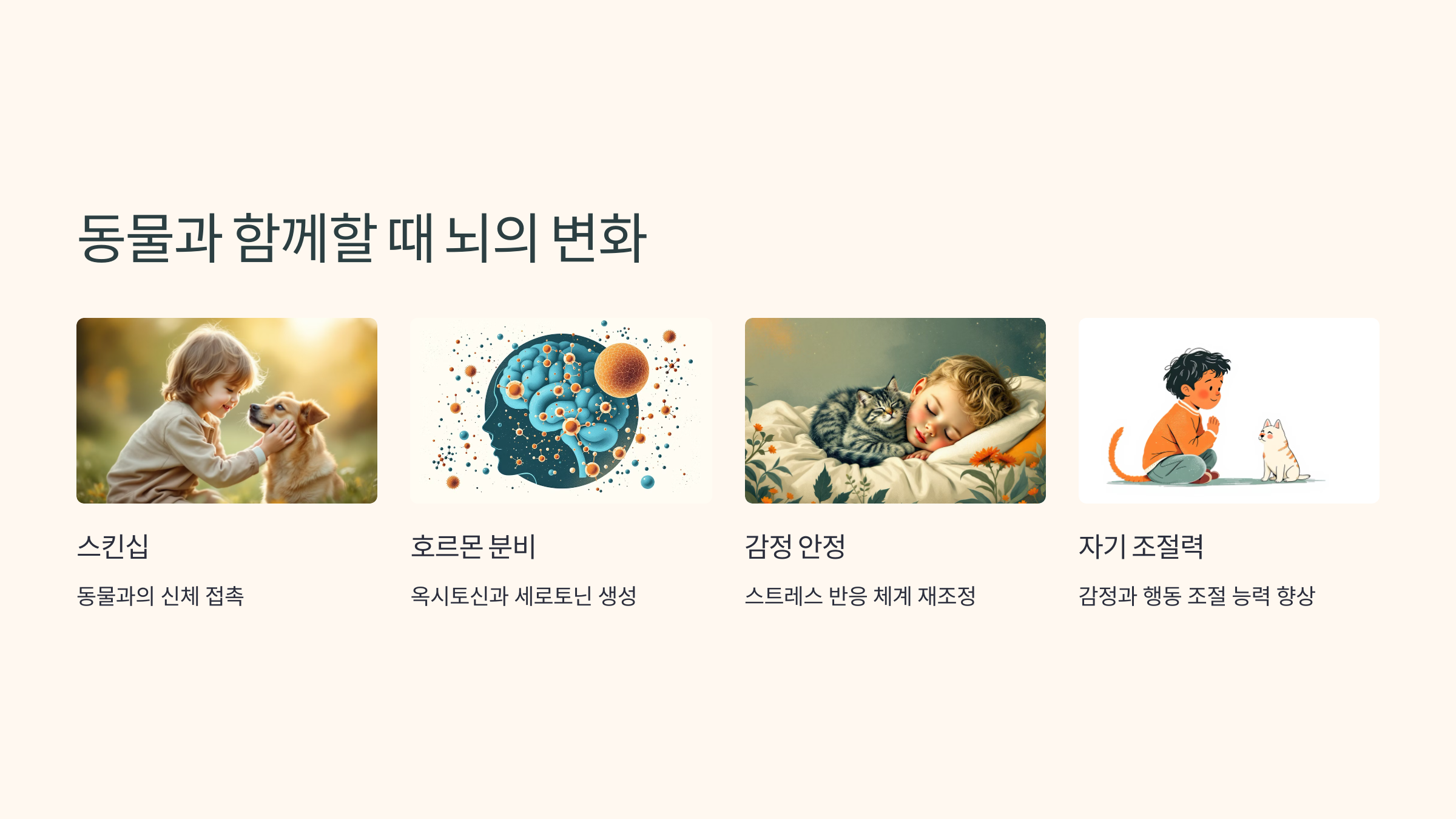 동물과 함께할 때 뇌의 변화