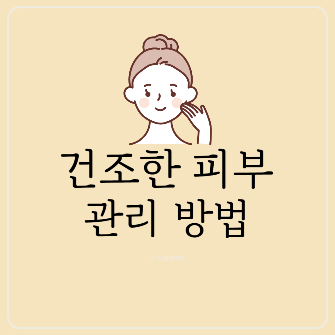 건조한피부 관리방법 건조한피부 관리법