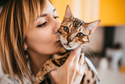고양이에게 키스하는 여자.