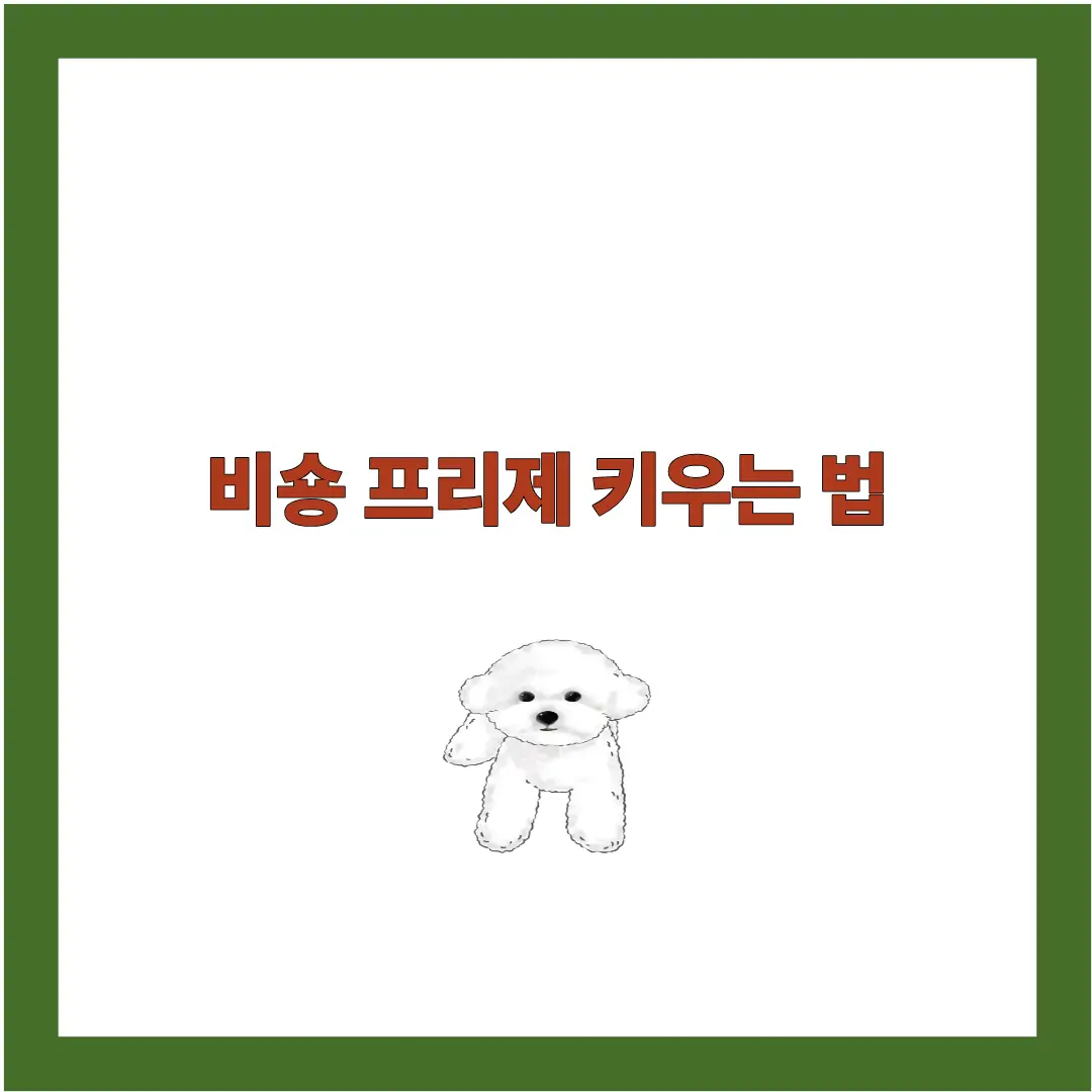 비숑 프리제