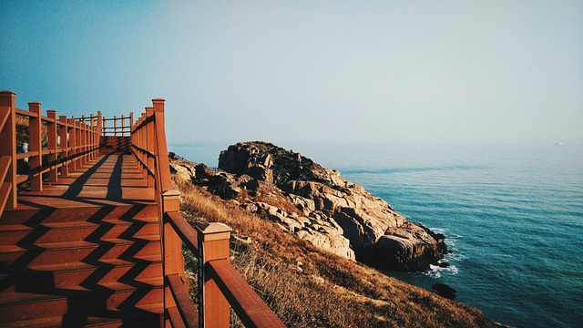 구기자 33