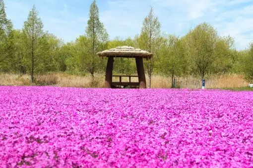 익산 용안생태습지공원