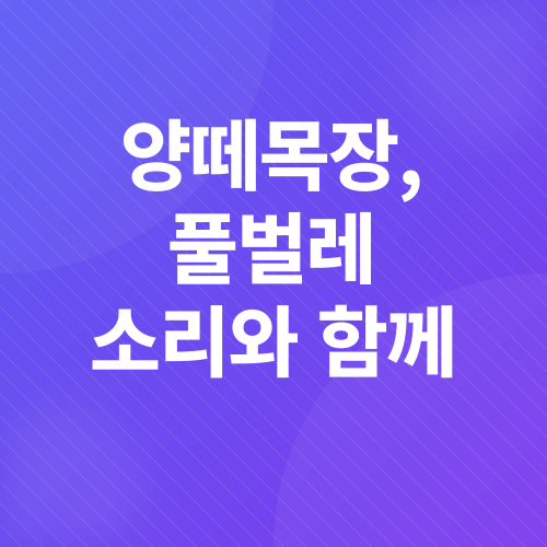제주도 여행_4