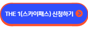 THE 1(스카이패스)