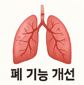 비트 효능