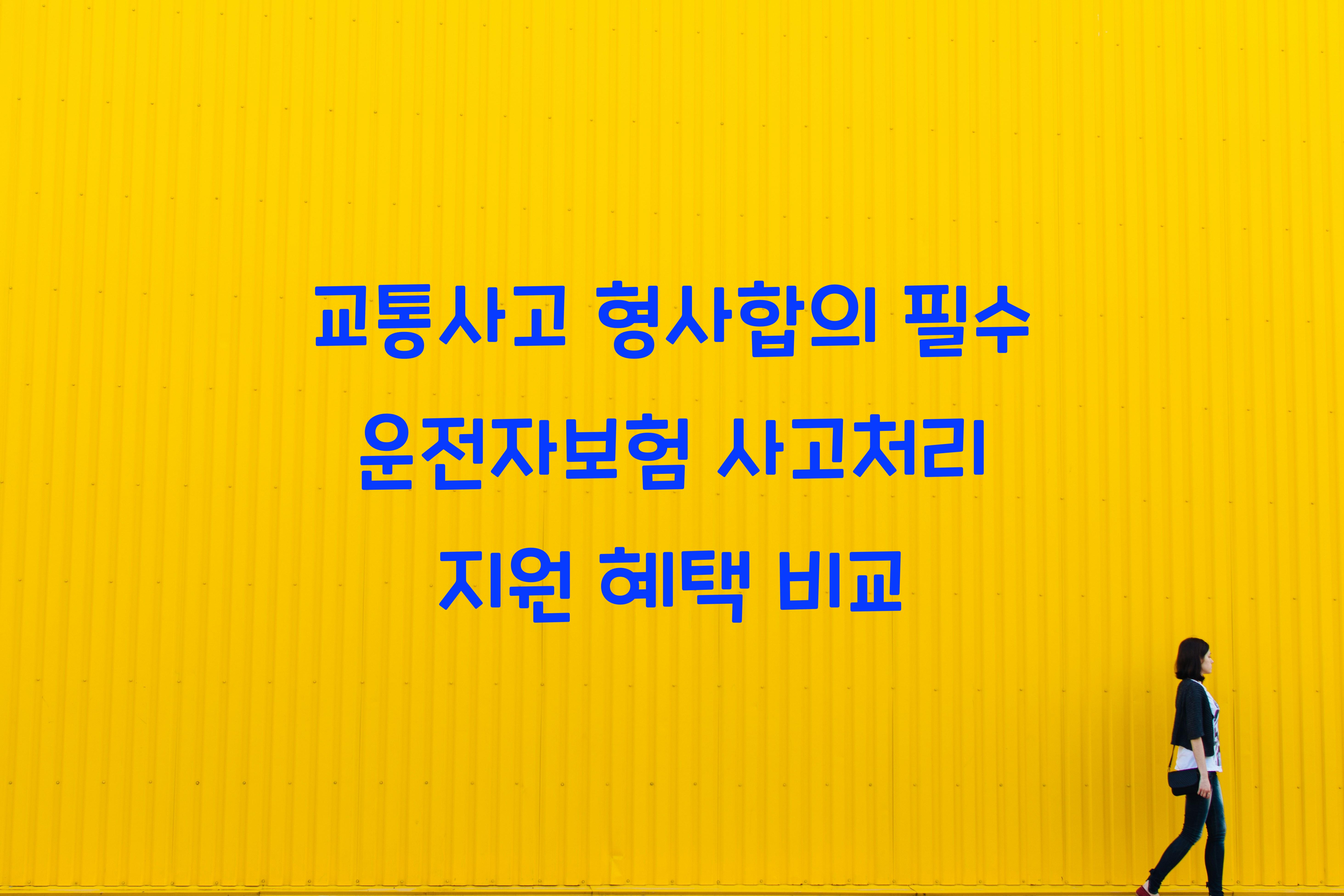 운전자보험 사고처리 지원