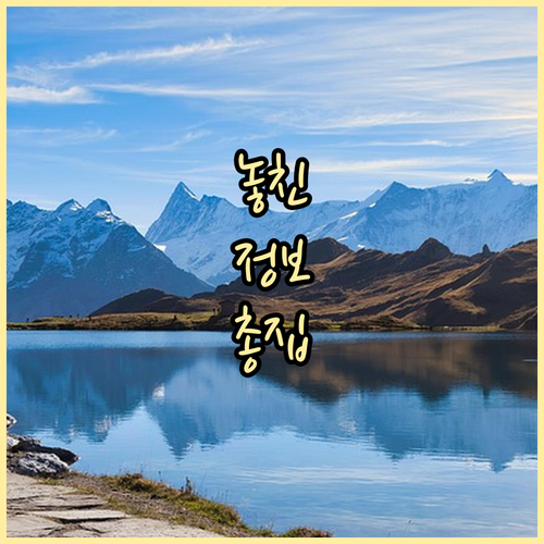 새내기 주민 필독 과천 갈현동 쓰레기..