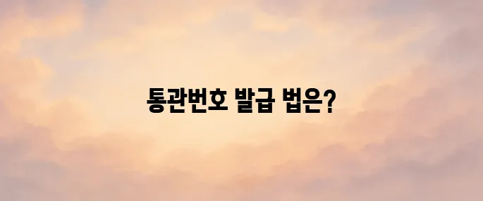 개인통관번호 발급 및 조회 변경 방법