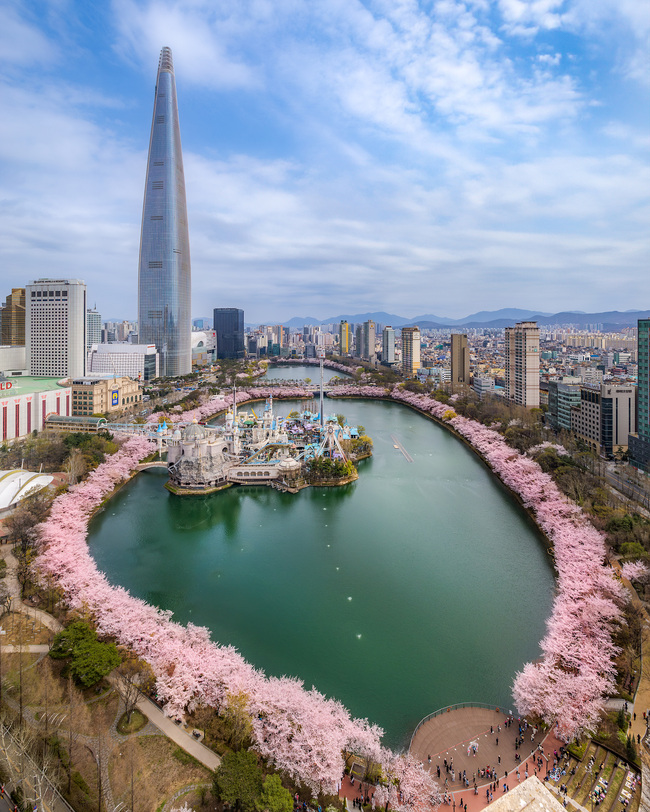 서울&middot;수도권 봄꽃 여행지 - 벚꽃 명소 석촌호수