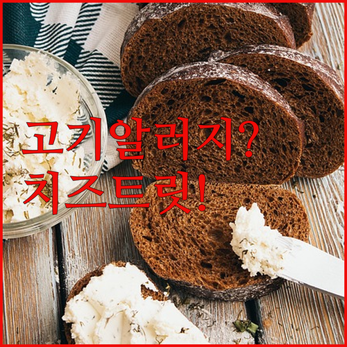고기 알러지 걱정 없는 더텐 치즈트릿..