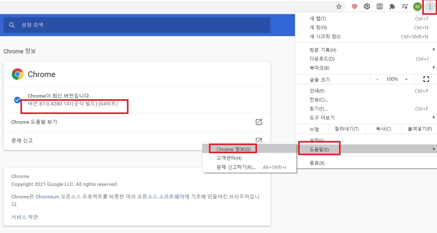 크롬 정보 확인하기