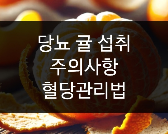 당뇨 귤 섭취 주의사항