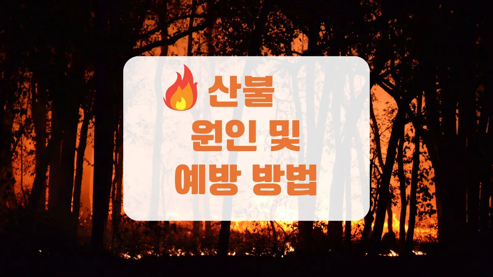 블로그 대표 이미지: 산불 원인 및 예방 방법