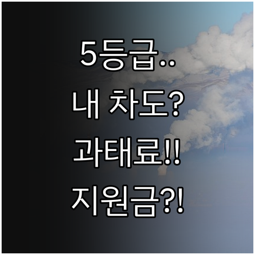 노후 경유차 5등급 확인 방법과 운행..