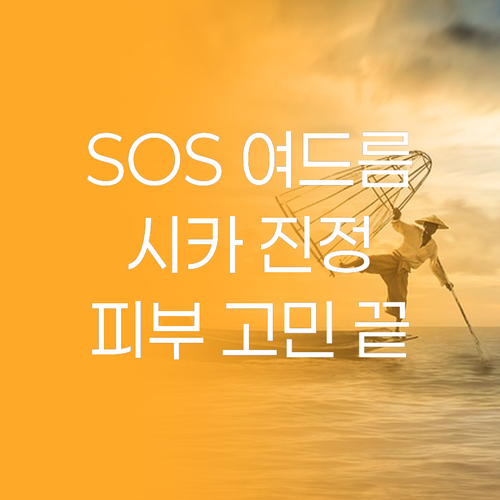 청소년 여드름 SOS 시카 진정 크림