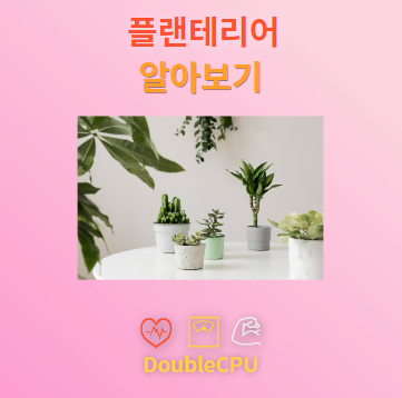 플랜테리어 탐구