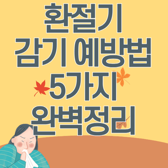 환절기 감기예방법 5가지 완벽정리