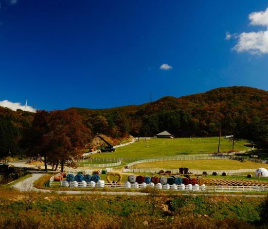 대관령 하늘목장