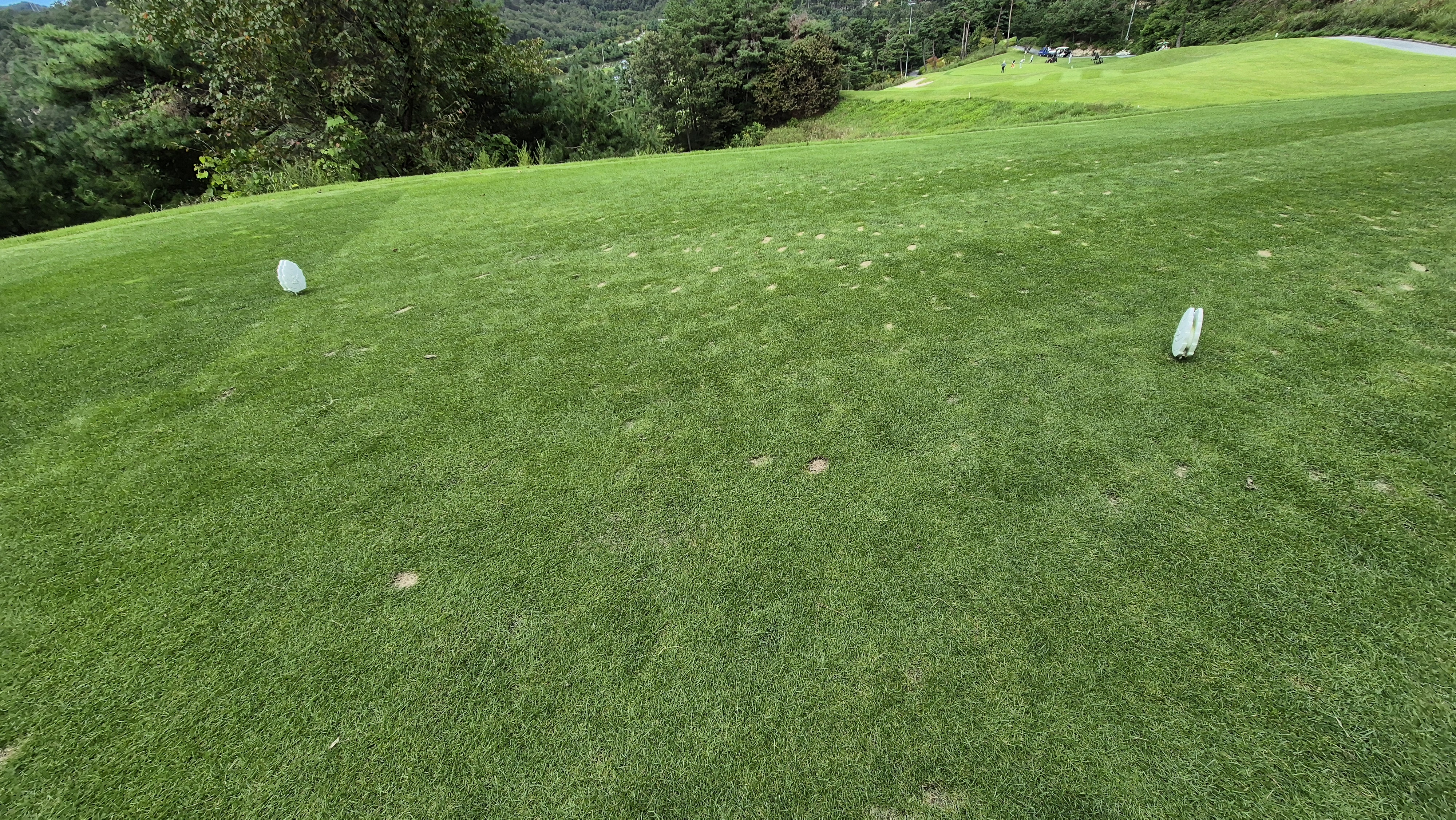 오크힐스cc 티잉구역 상태