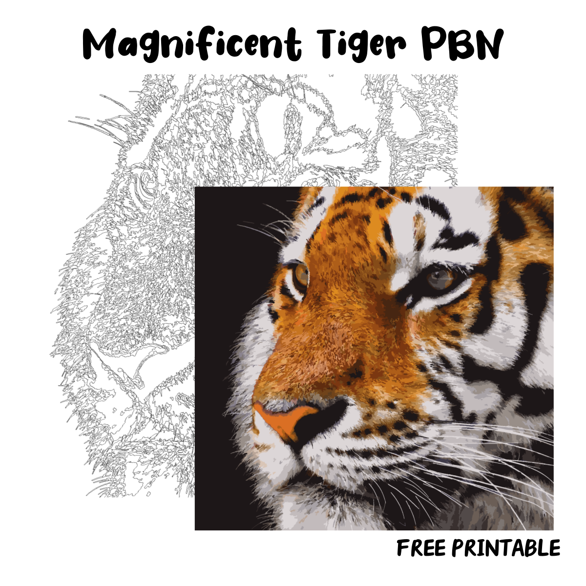 Magnificent Tiger PBN