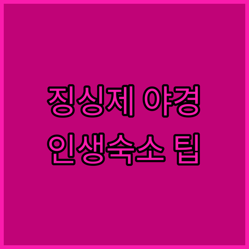 베이징 징싱제 야경 촬영 시간대별 동..