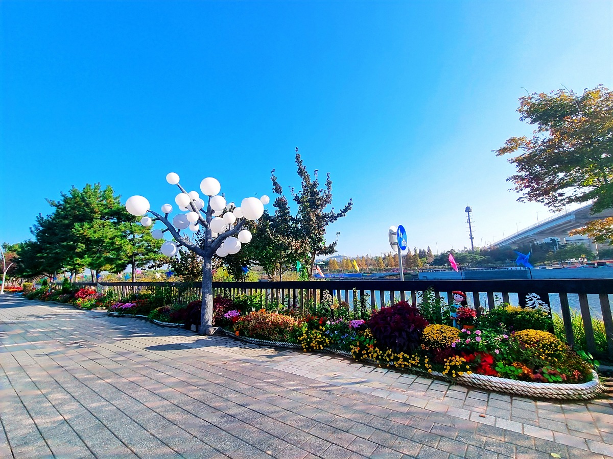 2024 인천 계양 아라온 가을꽃 전시회, 국화 축제(~11.10.): 야경, 아라뱃길, 전통놀이 체험