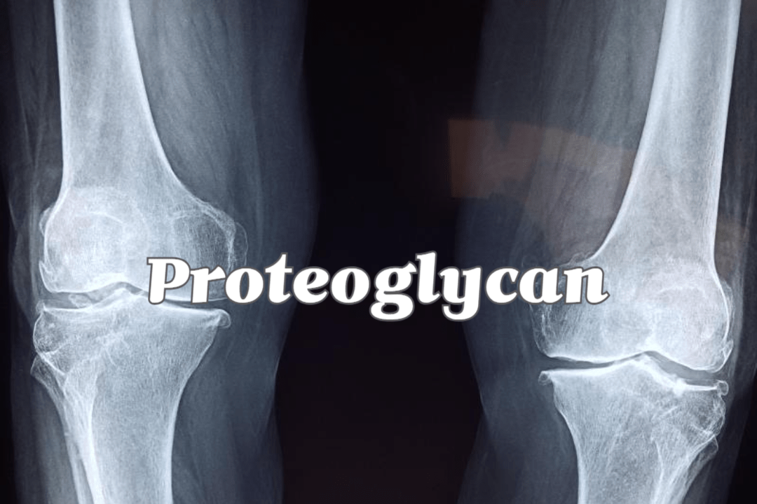 Proteoglycan