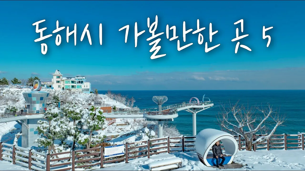 동해 가볼만한곳 맛집 추천 카페 봄 베스트 10_3