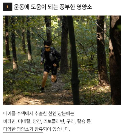 메이플 수액 장점