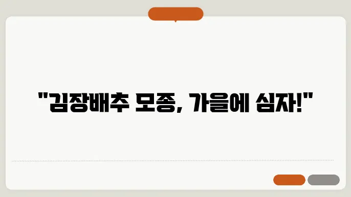 김장배추 모종 심는 시기