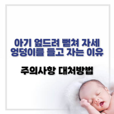 아기 엎드려뻗쳐 자세
아기 엉덩이 들고 자는 이유
아기 발달 과정
아기 기어가기 준비
아기 근육 발달
아기 자세의 의미
아기 배변 신호
아기 균형 감각 발달
기어가기 연습 방법
아기 마사지 효과
아기 성장 신호
아기 배변 활동
아기 안전한 놀이 환경
부모의 대처 방법
아기 발달 단계