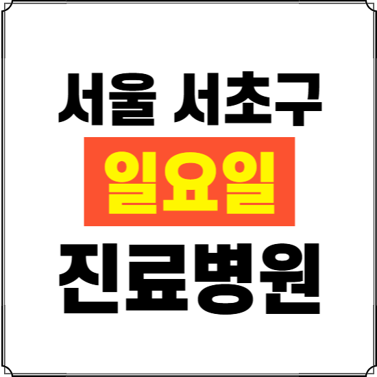 서울 서초구 일요일 진료병원 찾기 ❘ 24시 휴일 주말 응급 야간 심야 문여는 병원