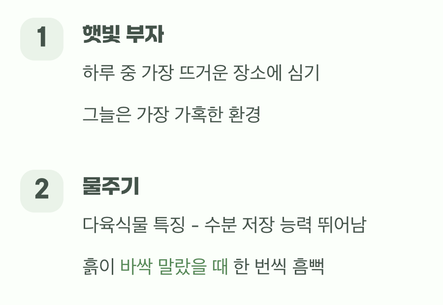 햇살은 최고의 보약, 물은 가끔씩만