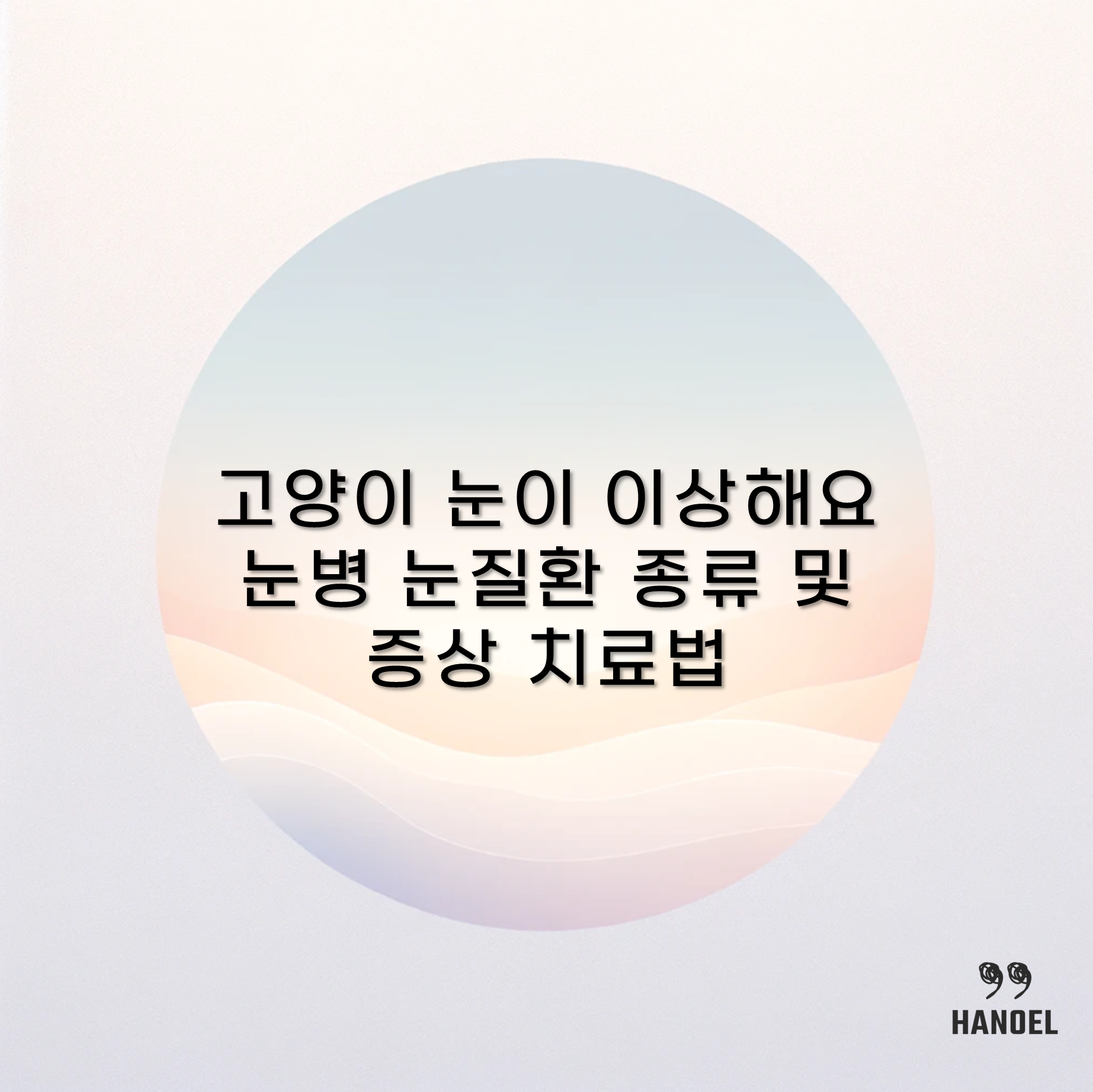 고양이 눈이 이상해요 눈병 눈질환 종류 및 증상 치료법
