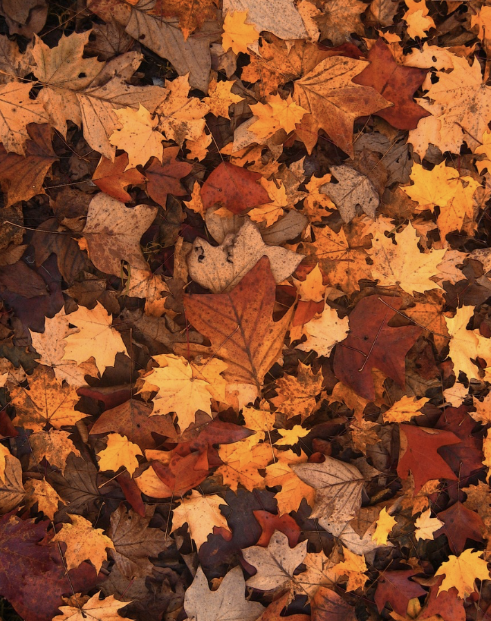 늦가을, 발길 머무는 골목 – 감성이 깃든 국내 골목 여행지 3선