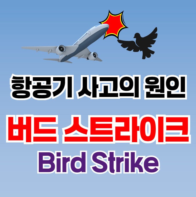 버드스트라이크 - 항공기 사고의 원인