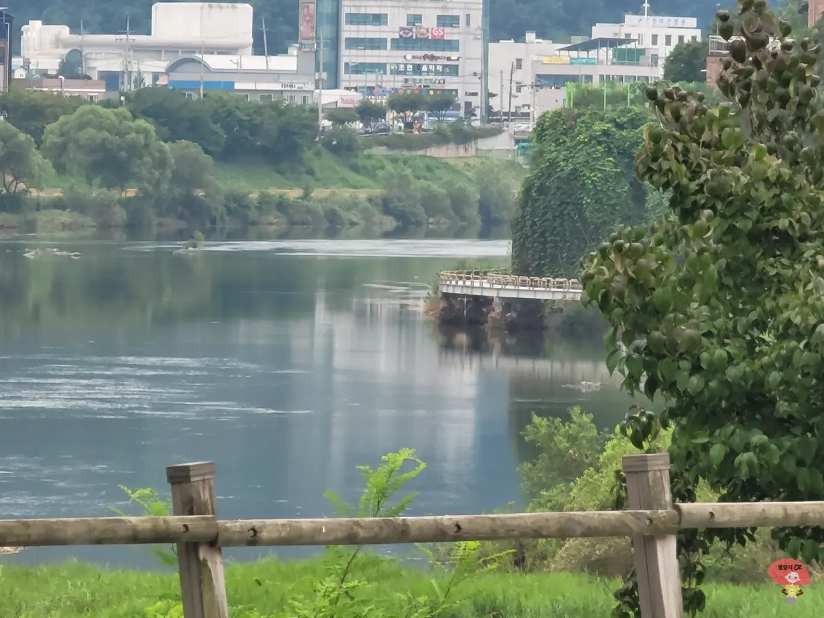 강원도-홍천-카페-테샤로바-창가에서-클로즈업해서-찍은-홍천강