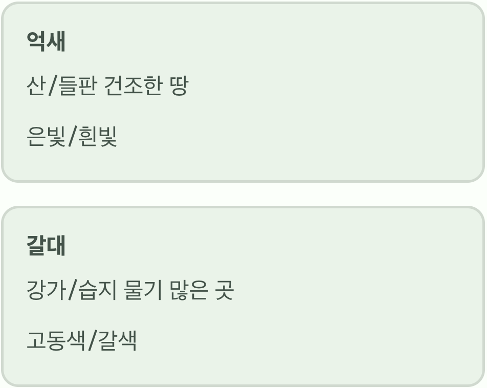 잠깐, 혹시 갈대는 아닐까요?