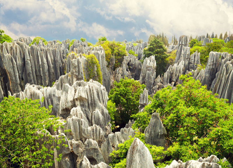 운남성 곤명 석림 (石林)