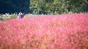 10월 가볼만한곳 베스트 