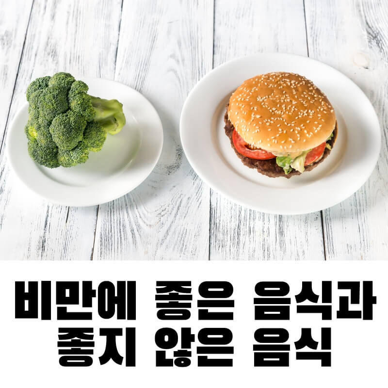비만에 좋은 음식과 좋지 않은 음식