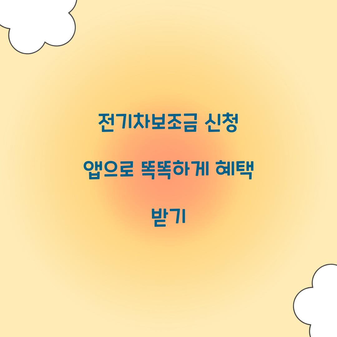 전기차보조금 신청 앱